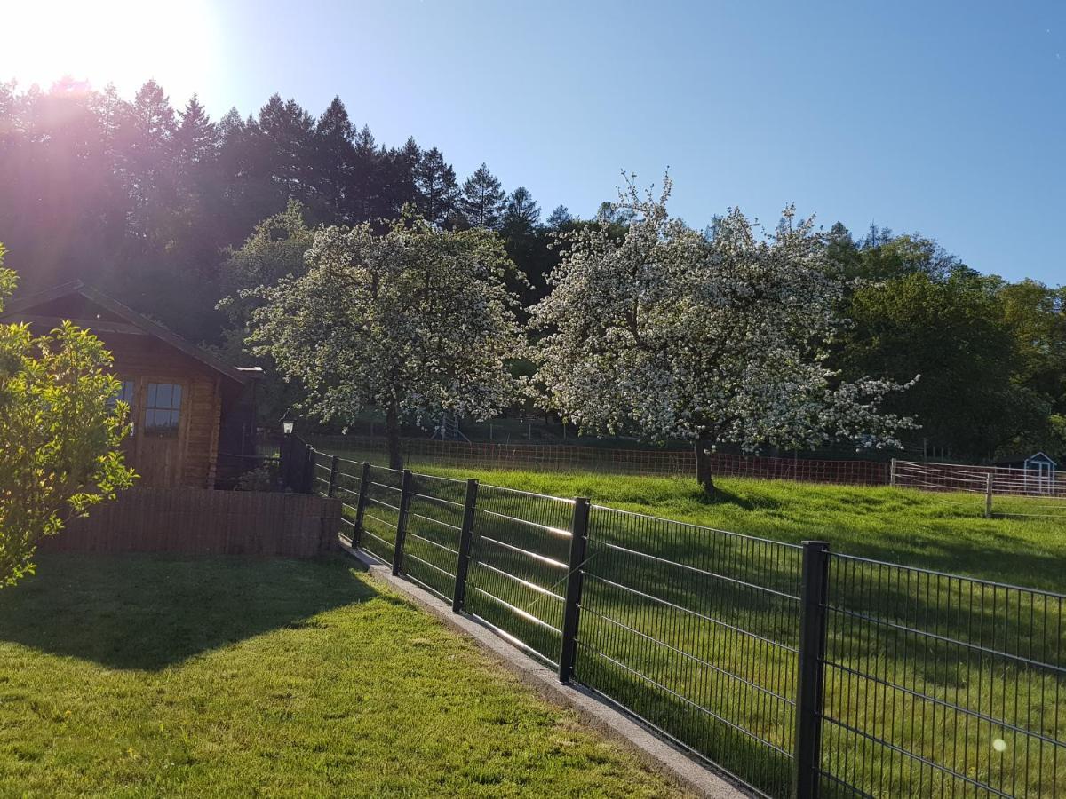 Ferienwohnung Tinas Beauty Neckarsteinach Exterior photo
